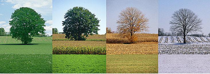 前索尼互娱CEO晒Steam Deck玩《地平线：黎明时分》